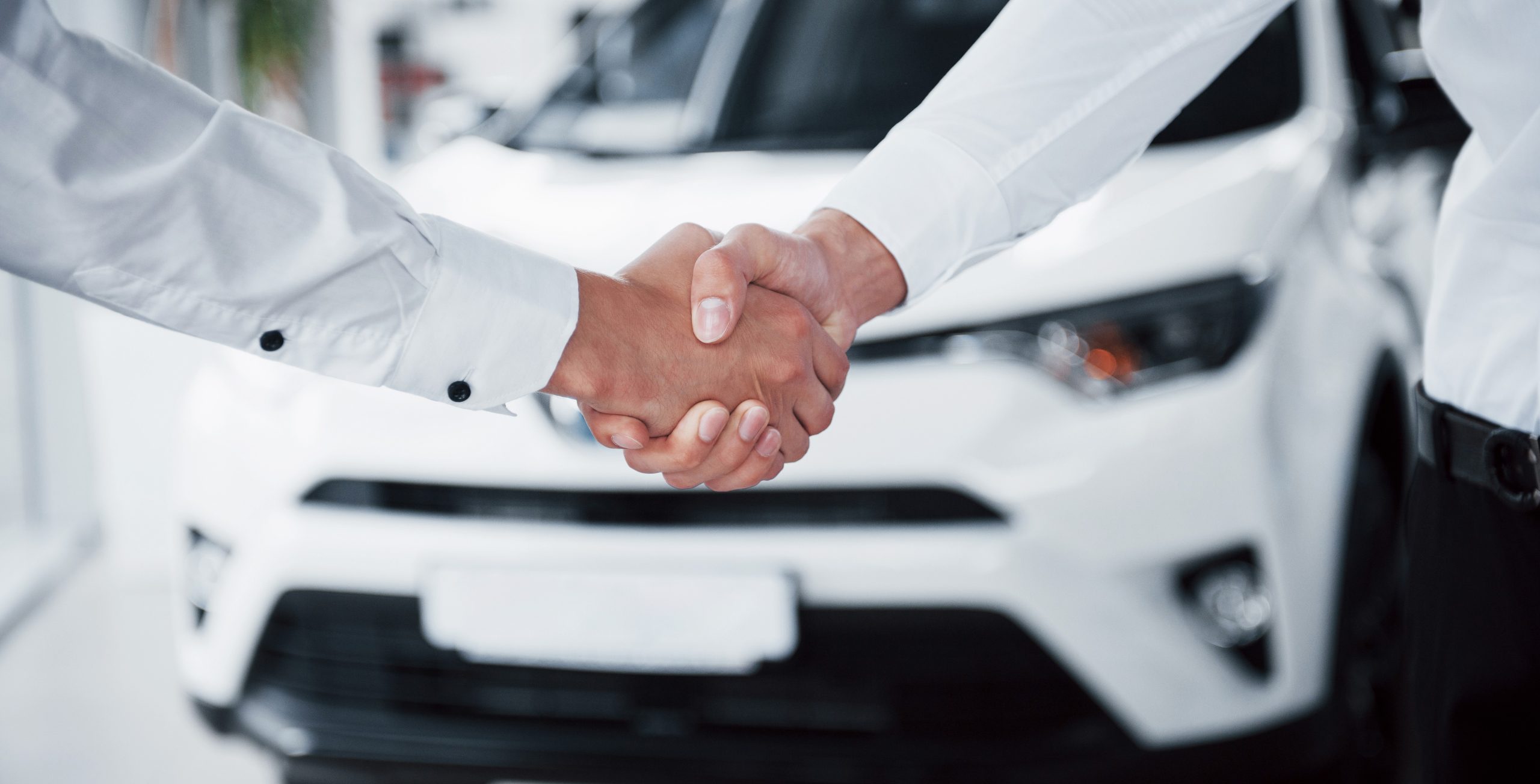 Stretta di mano tra consulente Dalma For You e cliente Stretta di mano tra consulente Dalma For You e cliente